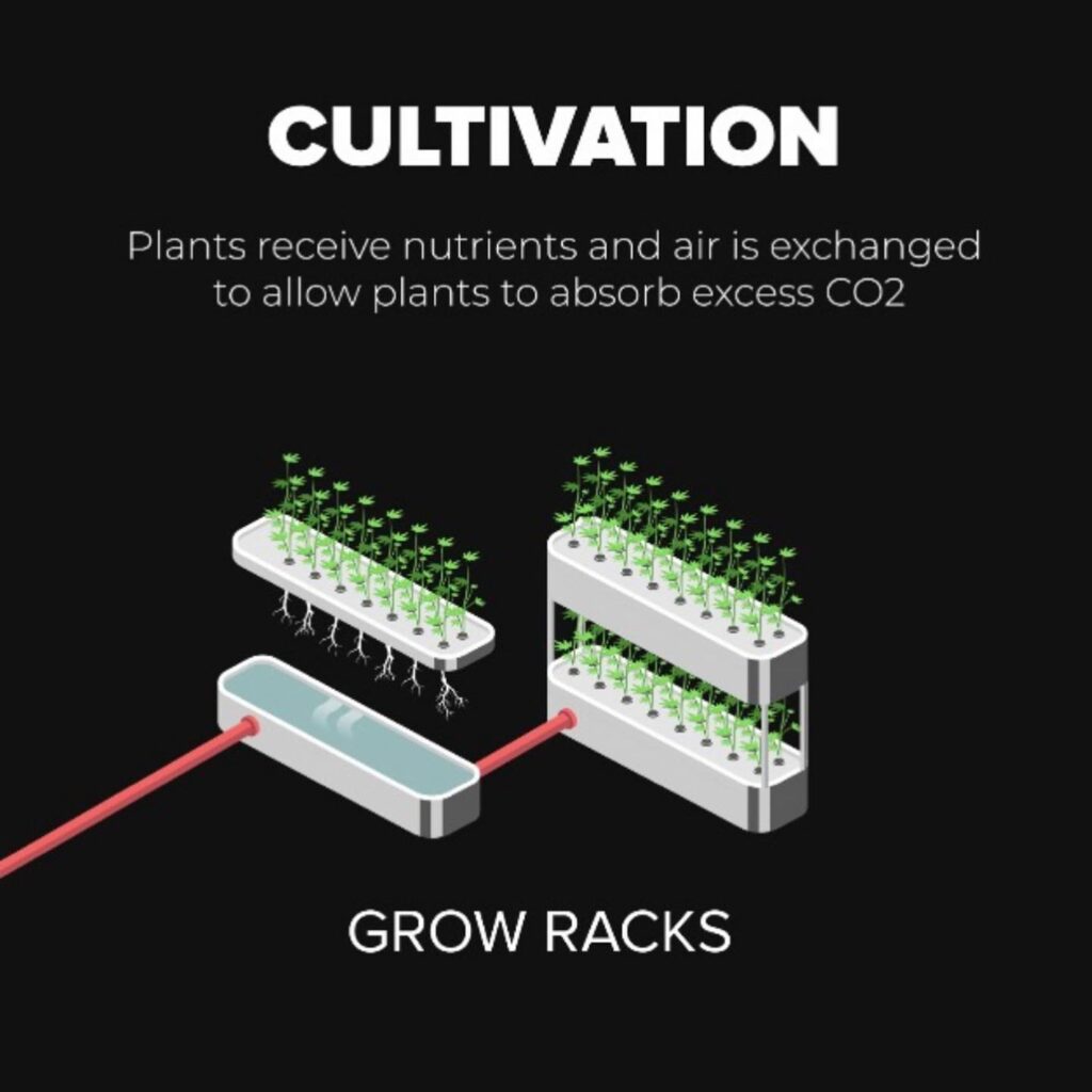 Sustainable Cannabis in Canada