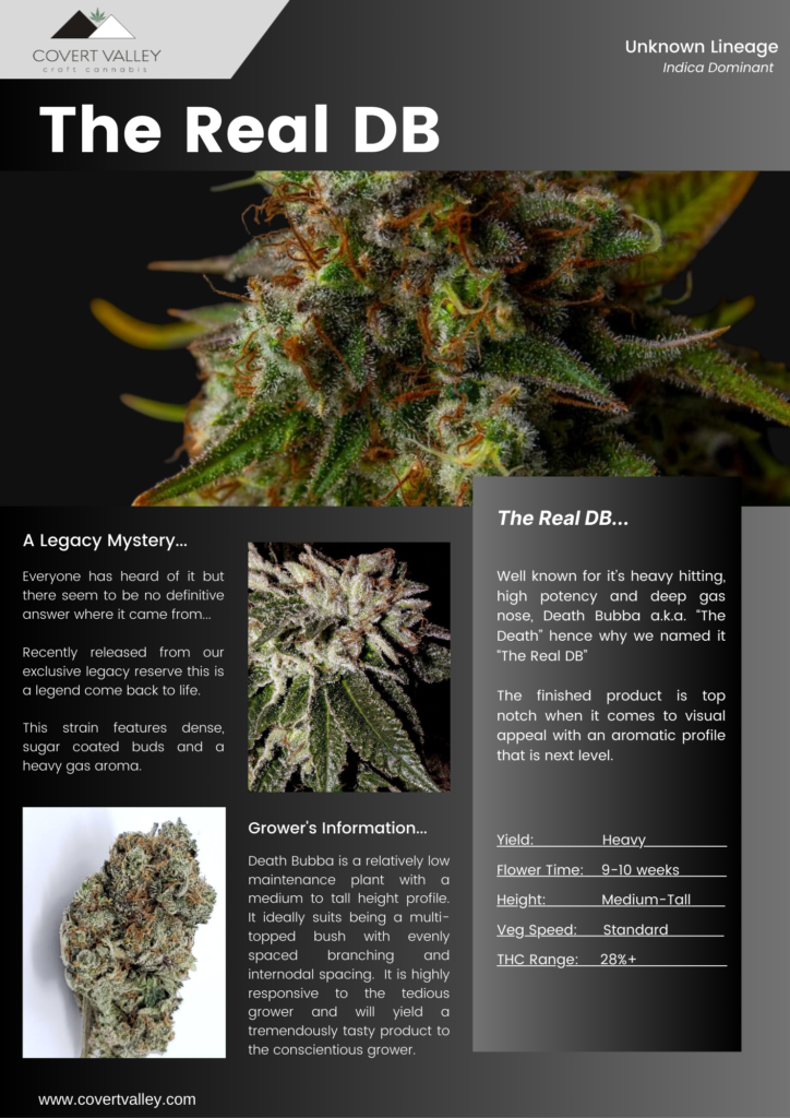 Buy Cannabis Clones Vancouver