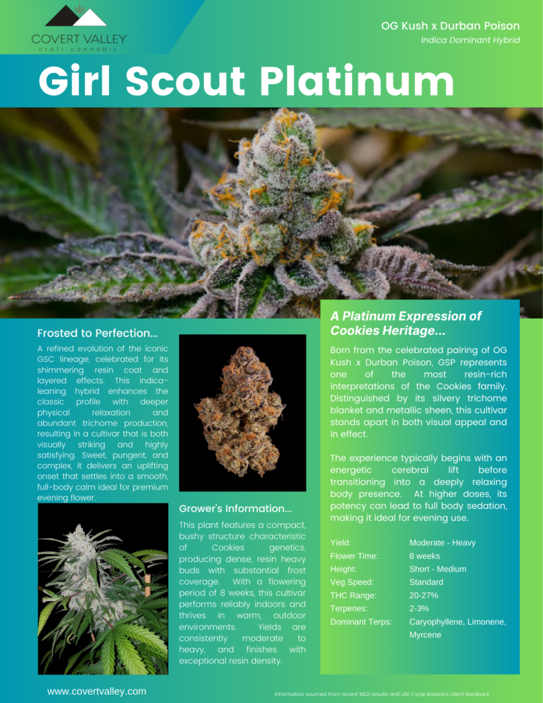 Buy Cannabis Clones Vancouver